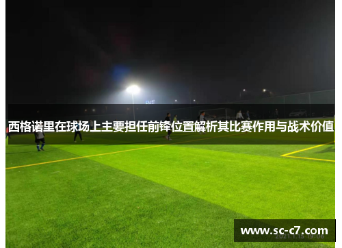 西格诺里在球场上主要担任前锋位置解析其比赛作用与战术价值