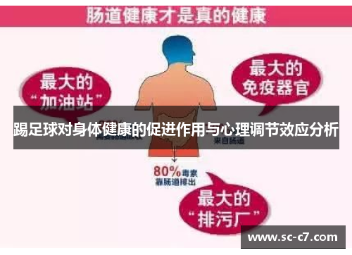 踢足球对身体健康的促进作用与心理调节效应分析