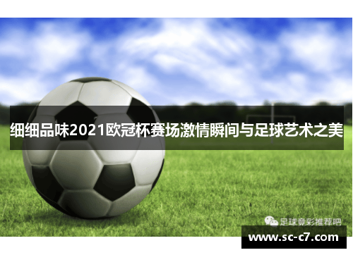 细细品味2021欧冠杯赛场激情瞬间与足球艺术之美