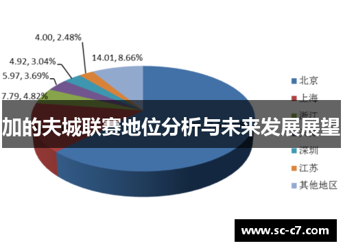 加的夫城联赛地位分析与未来发展展望