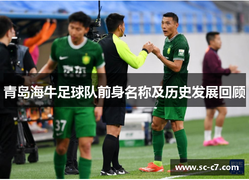 青岛海牛足球队前身名称及历史发展回顾
