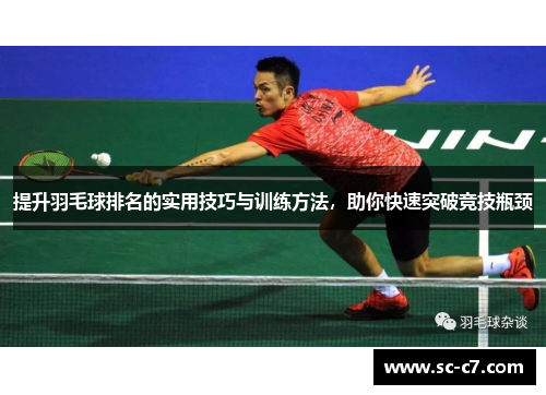 提升羽毛球排名的实用技巧与训练方法，助你快速突破竞技瓶颈
