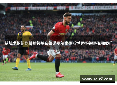 从战术枢纽到精神领袖布鲁诺费尔南德斯世界杯关键作用解析 从战术枢纽到精神领袖布鲁诺费尔南德斯世界杯关键作用解析