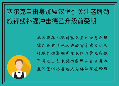 塞尔克自由身加盟汉堡引关注老牌劲旅锋线补强冲击德乙升级前受期